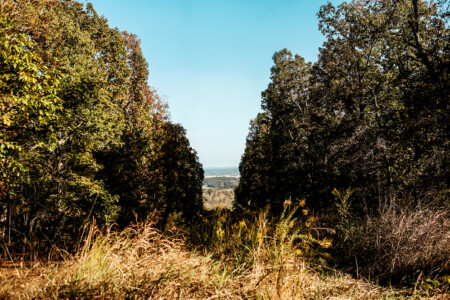 Greenspace near Cleveland, North Carolina