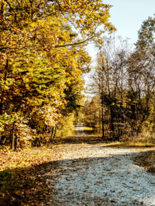 Greenspace near Cleveland, North Carolina