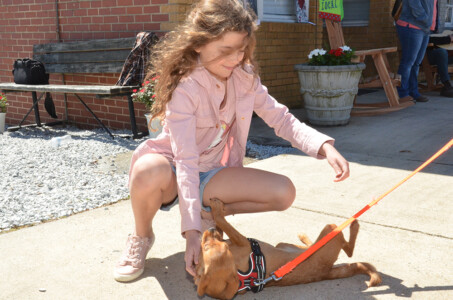 Girl playing with dog in downtown Cleveland, North Carolina