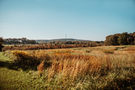 View of Youngs Mountain near Cleveland, North Carolina