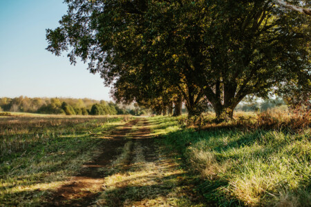 Greenspace near Cleveland, North Carolina