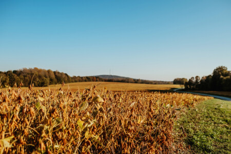 View of Youngs Mountain near Cleveland, North Carolina